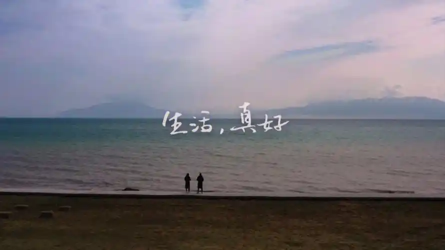 推荐综艺你好生活