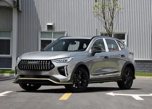 长城汽车 哈弗赤兔 2021款 1.5t 黄金兔