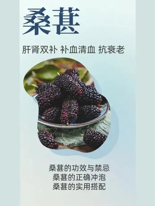 桑葚干的功效与作用961,抗衰老桑葚干作为一种水果干果,含糖,糅酸