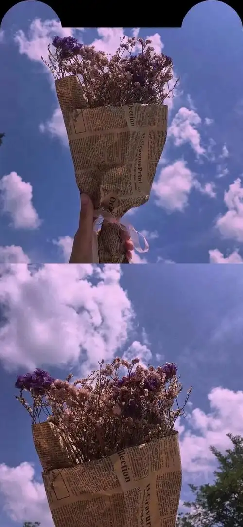 今天也想当富婆 的想法: 分享几张收藏很久的壁纸,挺有意境和氛围