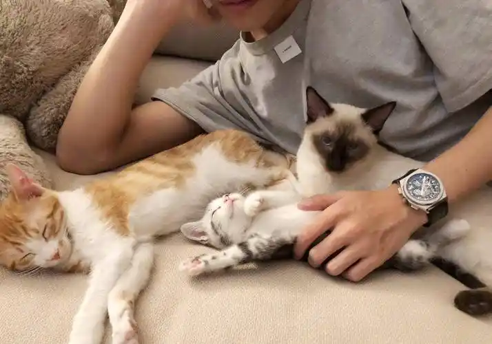 《朋友请听好》晒出新图,易烊千玺抱着两个漂亮宝贝,让人羡慕