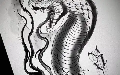 蛇纹身,蛇纹身手稿,蛇纹身手稿图案