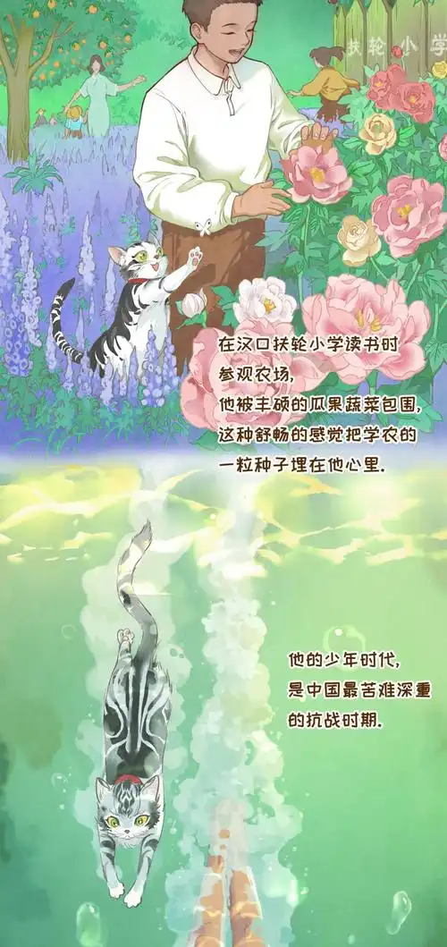 种子选手袁隆平