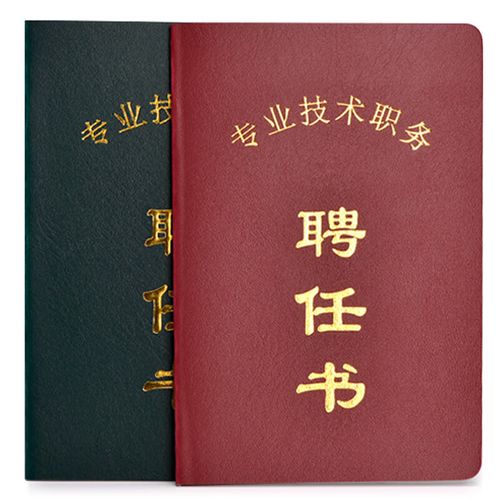 通用专业技术职务聘任书护士职称证书家委会聘任书聘书 枣红色(岗位)