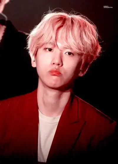 边伯贤四巡壁纸