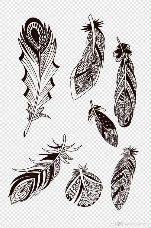 手绘羽毛线条画素材