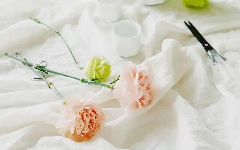 风格壁纸,唯美,小清新,创意,高清,静物,意境,壁纸,1920x1200