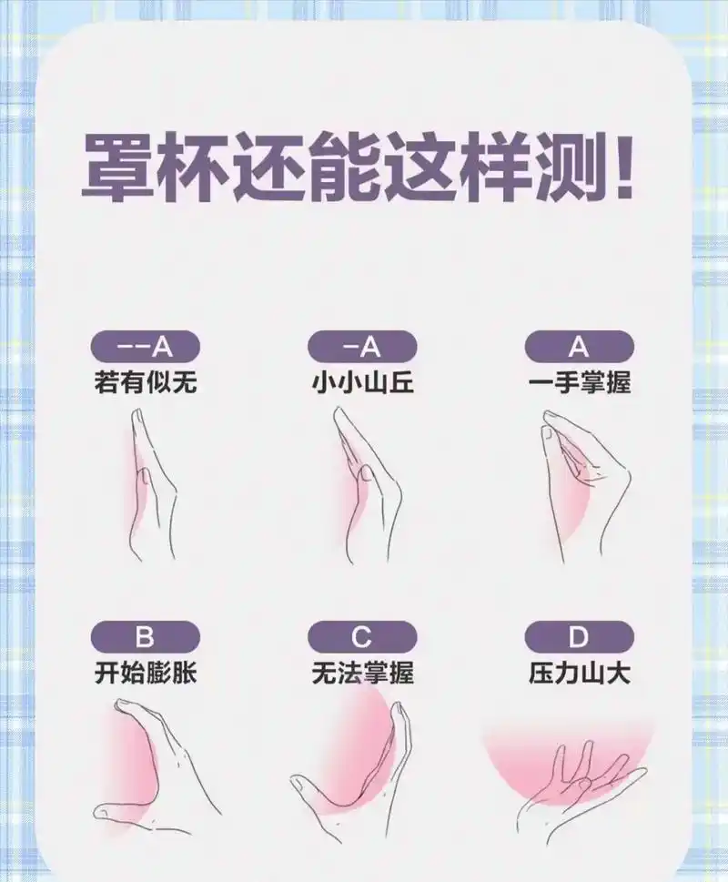 罩杯居然还能这样测.#女生必看 #小知识 #女性科普 #胸围 - 抖音