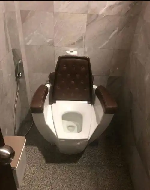 火爆全网的最丑马桶大赛,网友自嘲无知!原来能丑到这样哈哈哈