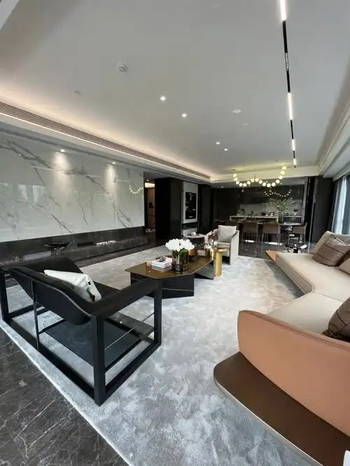 东站315平大平层1000w#杭州房产  #豪宅大平层