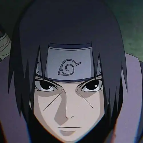 来一波鼬神头像吧