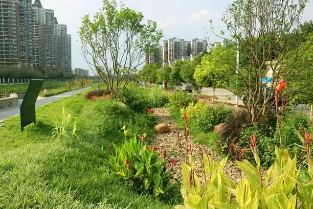 800米碧道能做什么?雨水花园,"海绵"步道,铁锈艺术装置