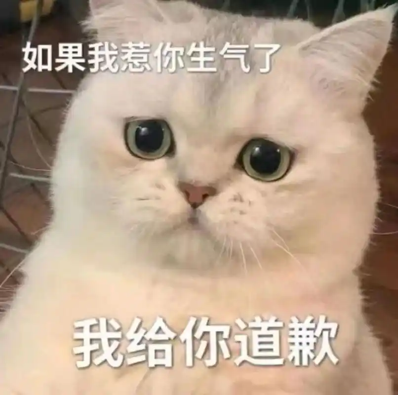 情侣表情包第一弹|猫咪哄人日常 和喜欢的男生聊天必备小猫咪!喵呜