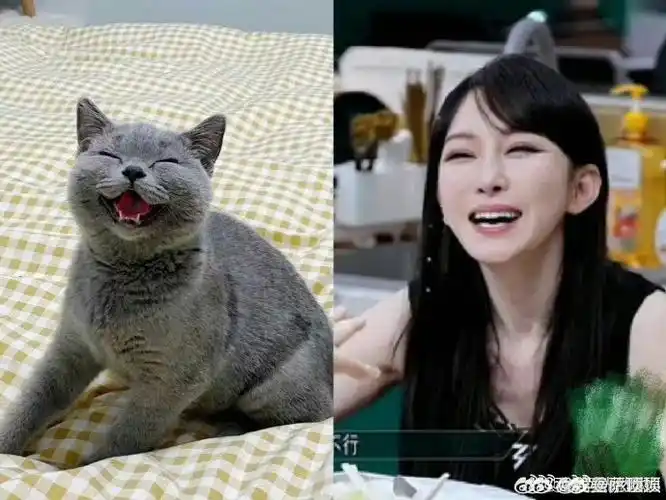 萨顶顶cos喵星人表情包##萨顶顶喵星人本喵