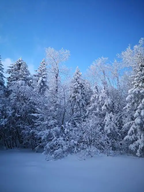 长白山林海雪原——老里克湖