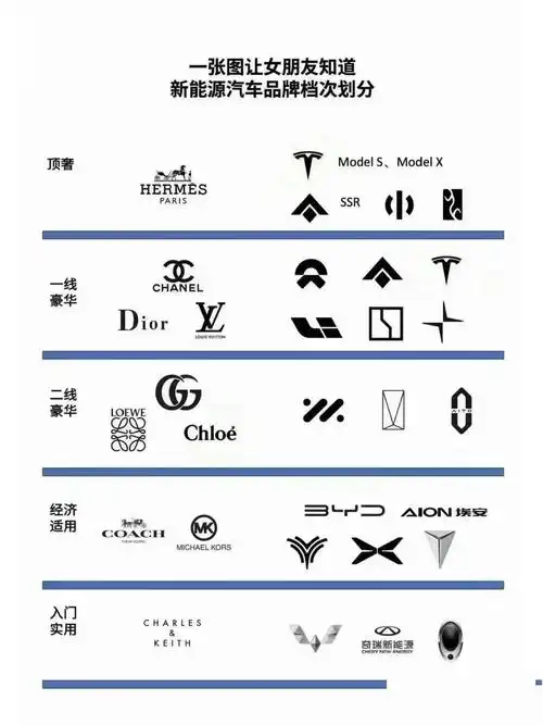国产电车车标大全图,一张图跟女朋友知道新能源汽车排名