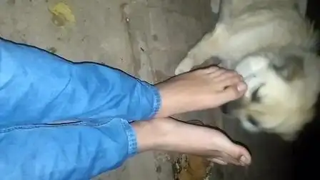 你很喜欢舔我脚心?那你挠挠吧