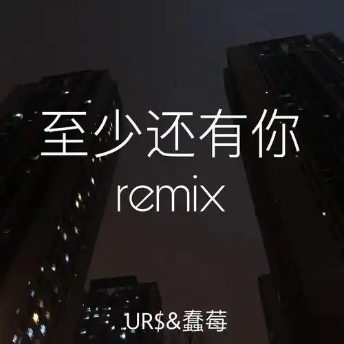 林忆莲-至少还有你(ur$ / 蠢莓 remix)