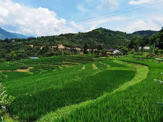 走进乡村看小康|白洋村:风景如画 村民小康
