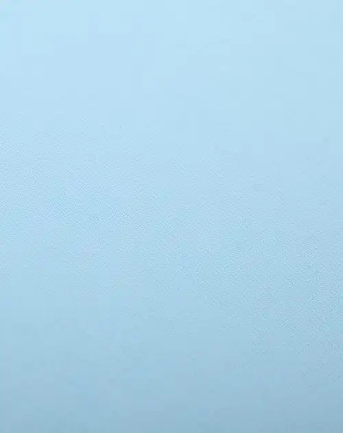 女款无痕纯色冰丝性感小内裤浅蓝