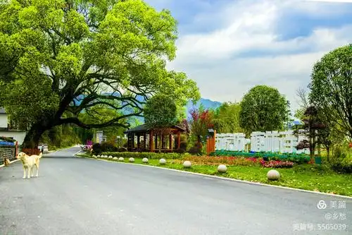 新农村·掠影 - 美篇