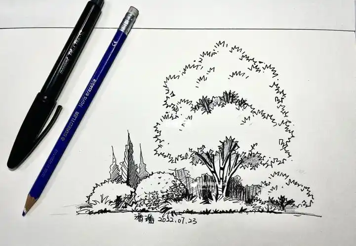 风景园林景观设计考研平面图手绘表达 诚接效果图平面图 整套快题1v1