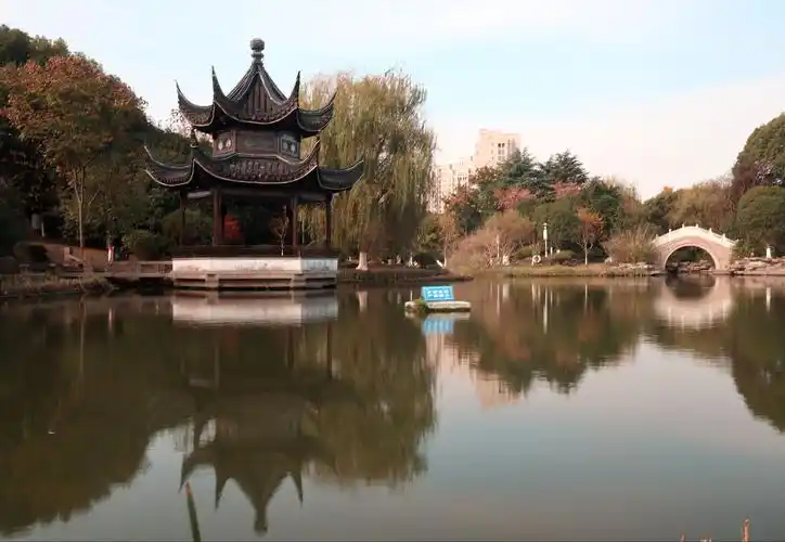 昆山花桥花溪公园,20201205,耿耿拍摄.