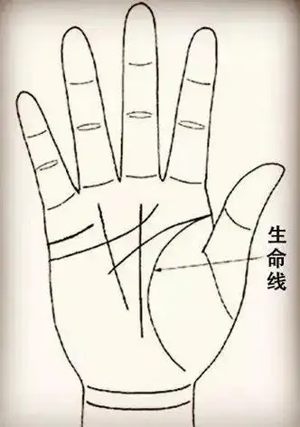 中间断开又从旁边接起来是什么意思太好了有副生命线帮助没有多大危险