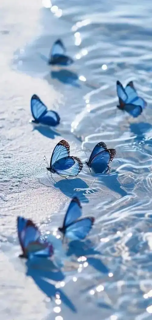 在深邃的蓝色背景下,这款手机壁纸仿佛带你进入了一个梦幻般的世界.