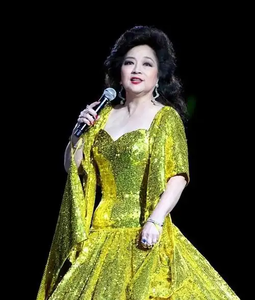 徐小凤一直保留中国国籍春晚特别照顾现状如何