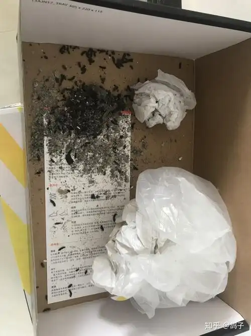 我家空调里居然住了一窝蝙蝠