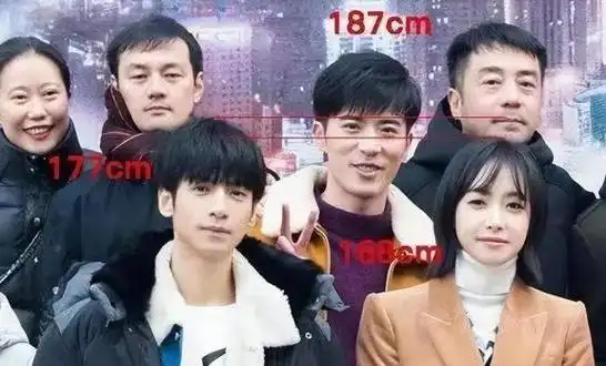 自从某个时刻开始,男性明星的身高仿佛成为颜值的新标签.
