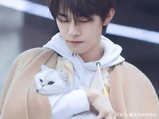 易烊千玺:没有什么事,是撸猫解决不了的