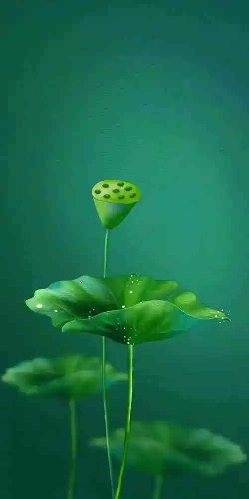 壁纸护眼绿色壁纸