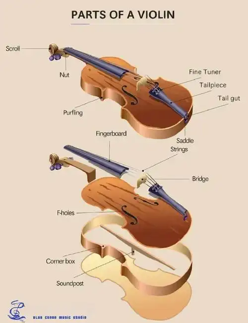 小提琴内部构造图详解
