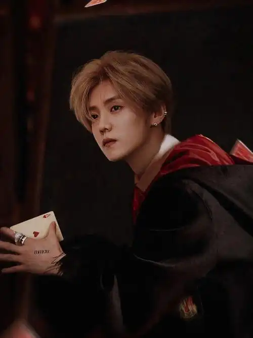 就是说一些帅气的鹿晗