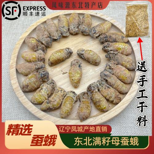 东北速冻蚕蛾油炸即食鲜活新鲜冷冻满籽母蚕蛾雄蚕蛾带籽蚕蛾速冻