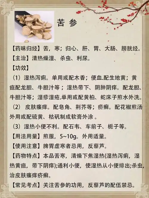 清热燥湿杀虫利尿苦参