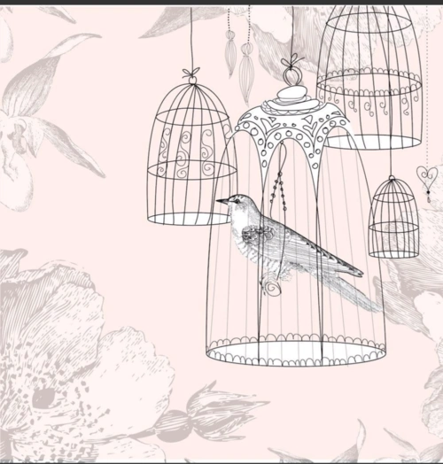诗笼中鸟
