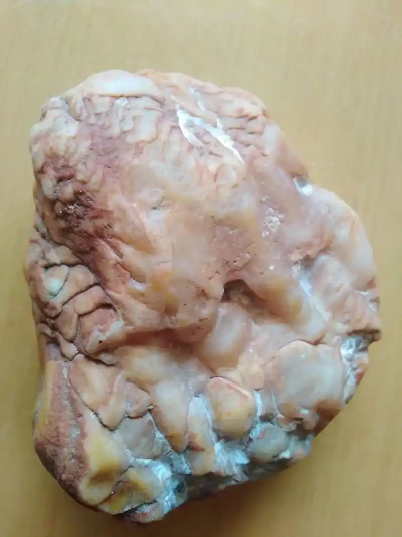 大西北捡起的石头.