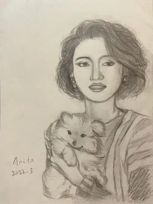 素描肖像练笔梅艳芳