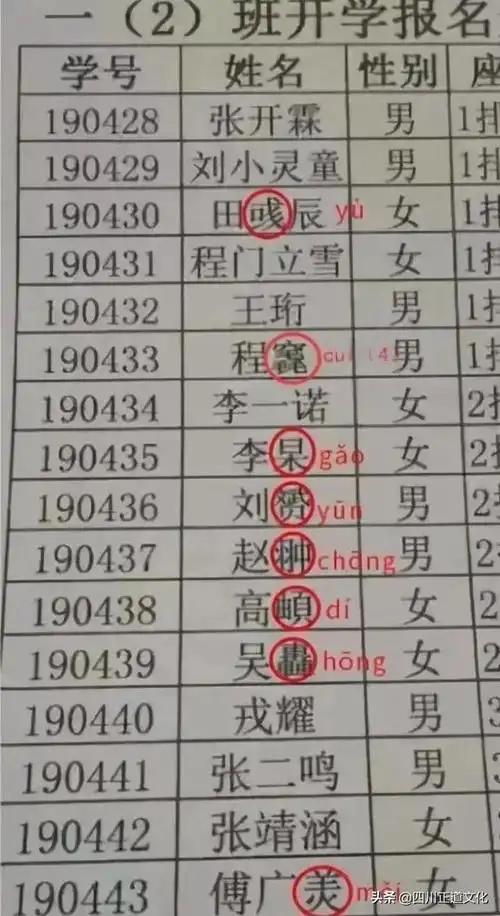 小学生因姓名走红网络连名带姓共3笔没有一笔是弯的