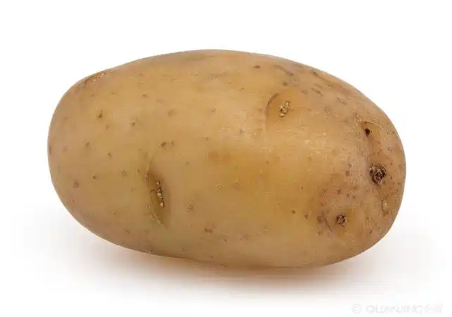 土豆图片_图片大全