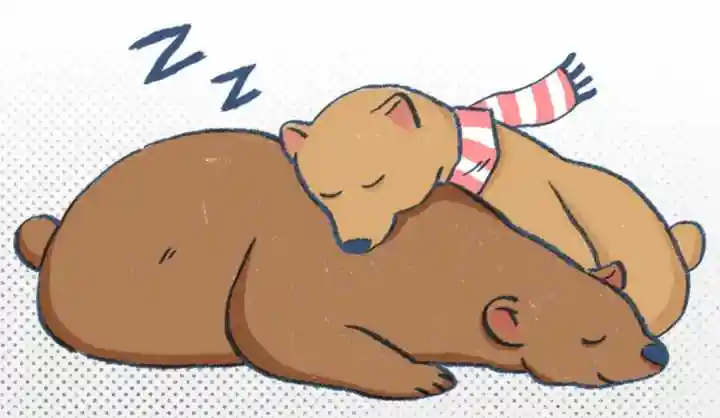 为什么熊冬眠可以睡很久,而人类却不行?