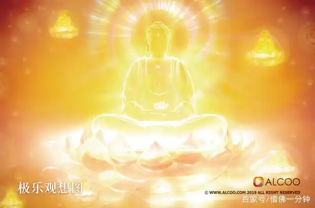 净宗法师:极乐众生到底长什么样?