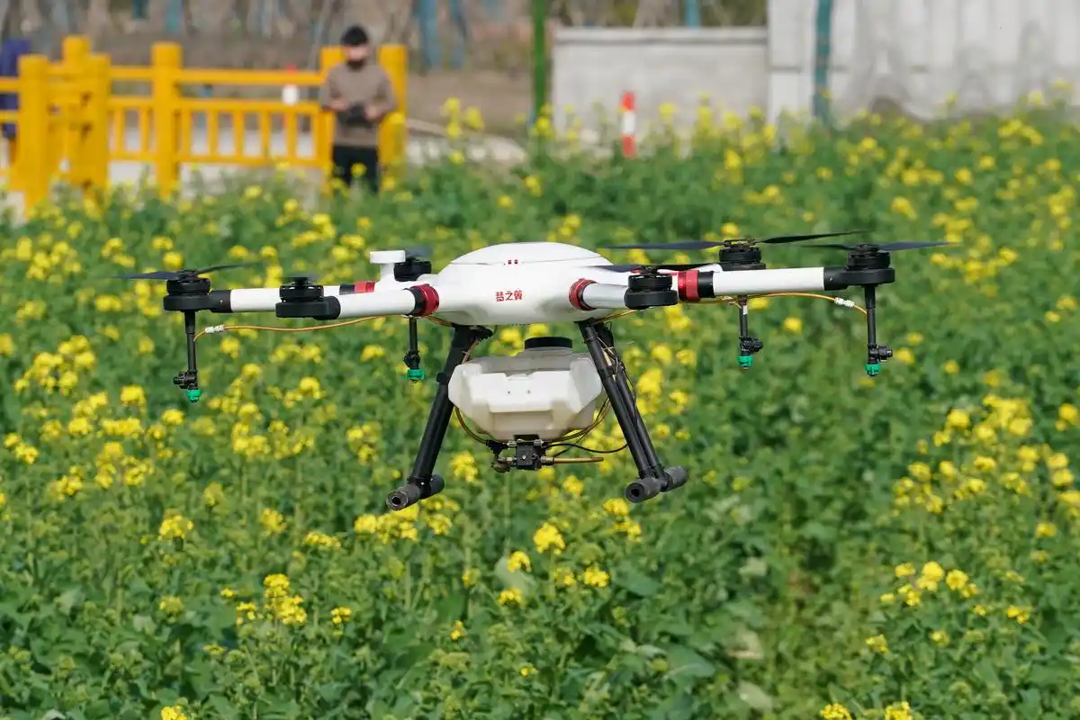 3月11日,在南京市浦口区永宁街道,无人机为油菜田喷药除虫(无人