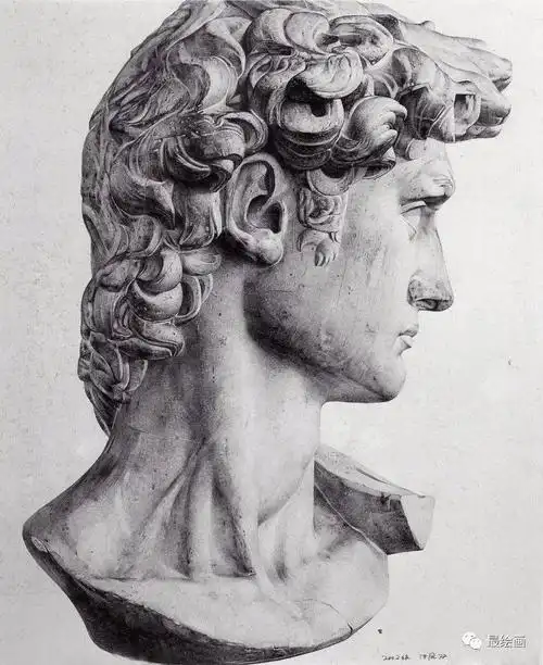 中国艺术教育中的大人物素描大卫石膏像集合