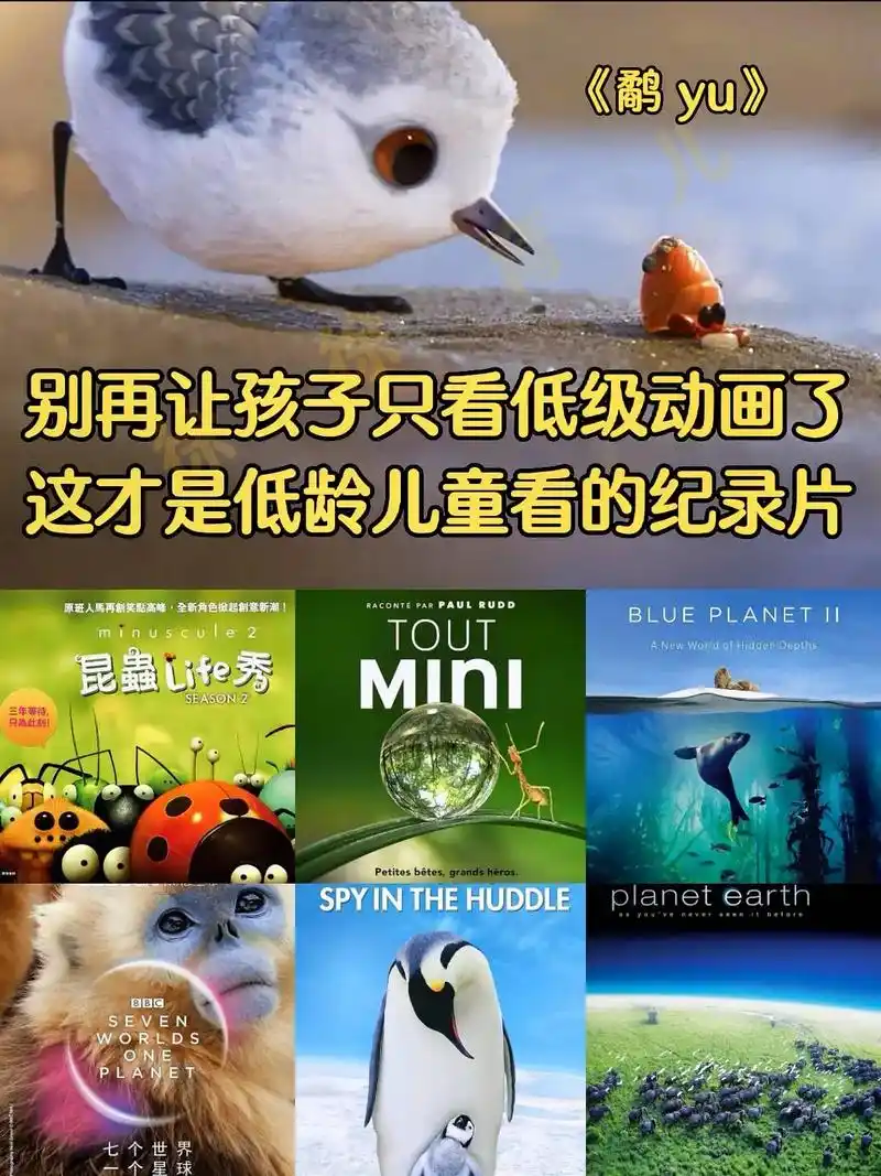 别再让孩子只看低级动画了,这才是低龄儿童看的纪录片 #鹬 # - 抖音