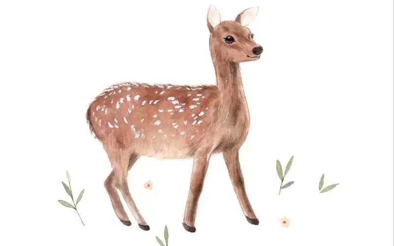 【水彩】森系梅花鹿