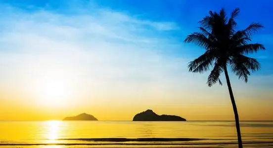 海上日出群岛和椰子树照片